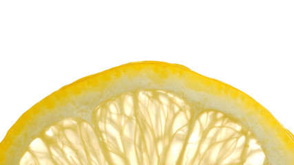 Zitronenscheibe im Gegenlicht