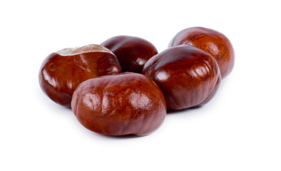 Fresh edible whole sweet chestnuts