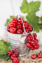 Red Currants (macro shot)