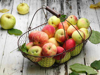 apple basket
