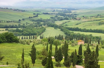 Obraz premium Toskana Zypressen mit Weg - Tuscany cypress trees with track 23