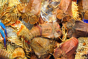 Fresh crayfish in the market.