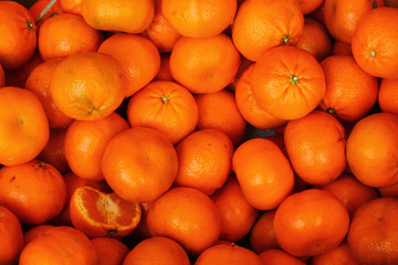 Orange fruit is the background.