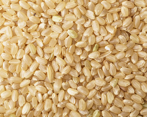 Brown rice background