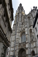 Fototapeta premium The Cathedral of Antwerp