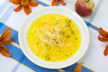 Appetizing noodles in chicken broth