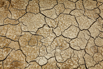 Cracked earth background texture