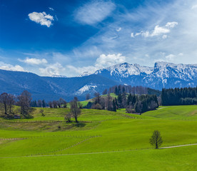 Fototapeta na wymiar German idyllic pastoral countryside in spring with Alps in backg