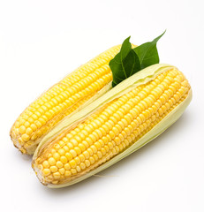 Corn