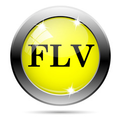 FLV icon