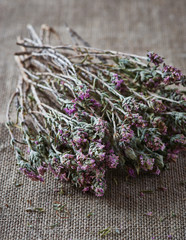 Bunch of dried thyme