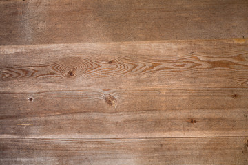 текстура дерева © moderzoom