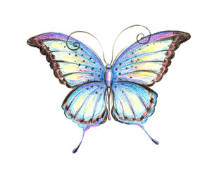 butterflies design