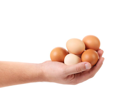 Hands holding eggs isolated