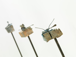 contemporary artworks