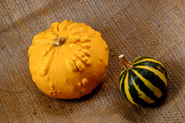 Unusual yellow pumpkin and small watermelon