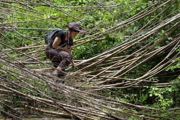 Woman jungle trekking