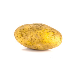 single potato isolated over white background