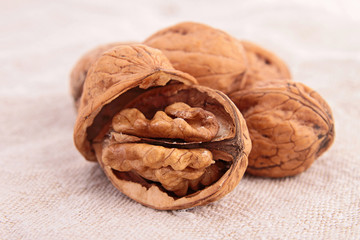 walnut