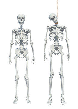 skeleton hangman's noose isolated on white background 