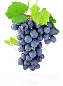 Fresh bunch of grapes with leaves isolated on a white background