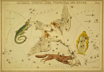 Astronomical chart,vintage