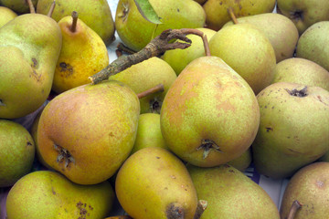 pears