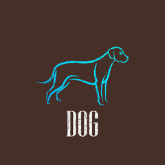 vintage illustration with a dog