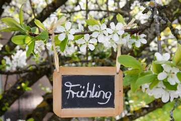 Frühling