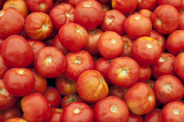 Tomaten