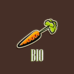 vintage illustration with a carrot