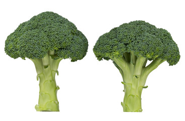 frisches Brokkoli Gemüse