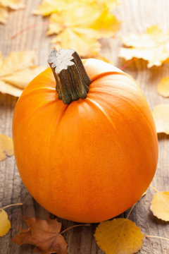 pumpkin on wooden background