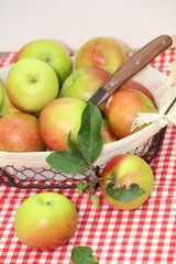 Fresh Apple