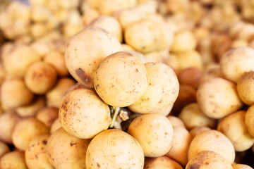 langsat fruit isolated on white background