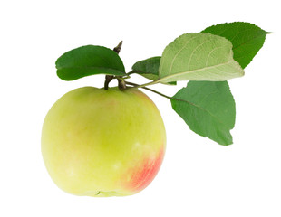 apple