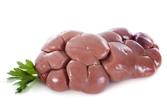 calf kidney