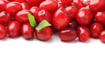 Fresh cornel berries isolated on white