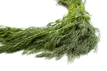 Frischer Grüner Dill auf weißem Hintergrund