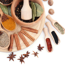 Various spices and herbs isolated on white