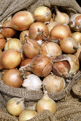 Репчатый лук в мешке