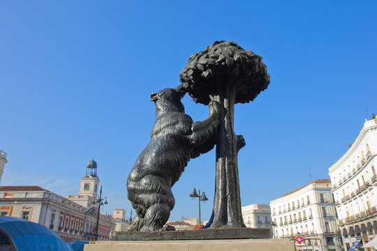 bear with strawberry tree, Madrid, Spain