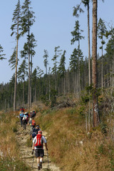Fototapeta na wymiar Mountaineers hiking in mountain range of High Tatras in Slovakia