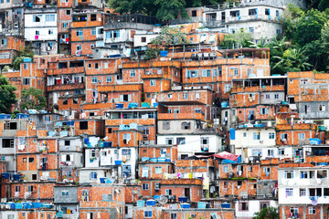 Favela, Brazilian slum in Rio de Janeiro - Powered by Adobe