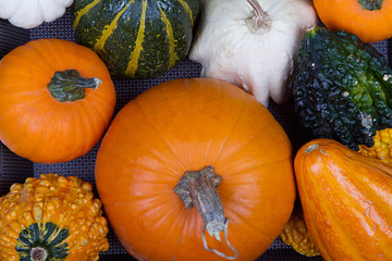 Assorted pumpkins and gourds