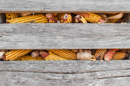 Corn Crib Closeup