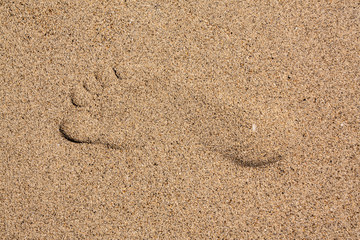 Fototapeta na wymiar Foot in sand