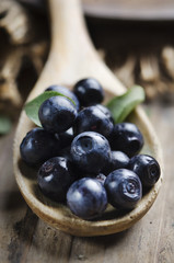 Blueberry