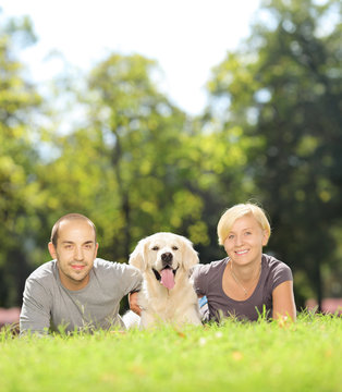 Smiling young couple lying on a grass and hugging a dog in park