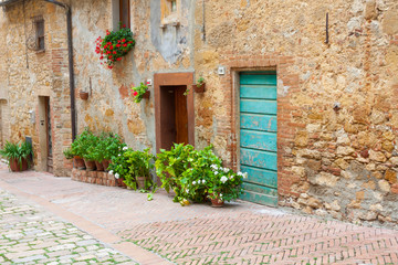 Fototapeta na wymiar Stare Eleganckie drzwi Toskanii Włoszech